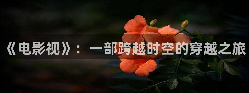51视频网下载：《电影视》：一部跨越时空的穿越之旅