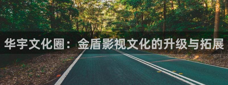 51视频下载的吗：华宇文化圈：金盾影视文化的升级与拓展