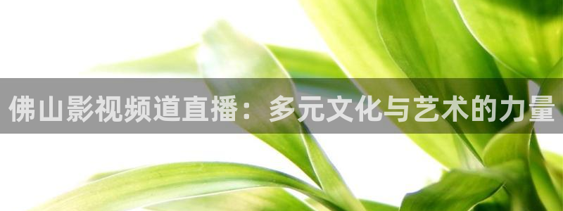 51视频免费看：佛山影视频道直播：多元文化与艺术的力量