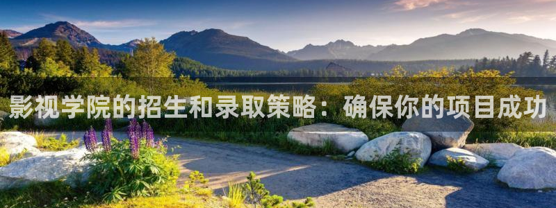 51视频交友社区：影视学院的招生和录取策略：确保你的项目成功