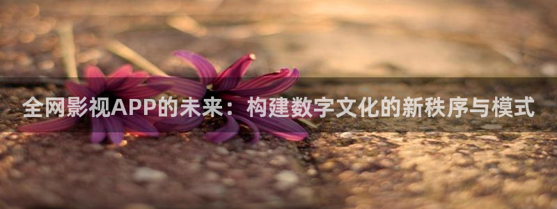 51视频app怎么下载：全网影视APP的未来：构建数字文化的新秩序与模式