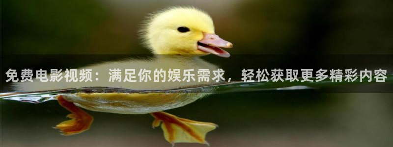 国产51视频：免费电影视频：满足你的娱乐需求，轻松获取更多精彩内容