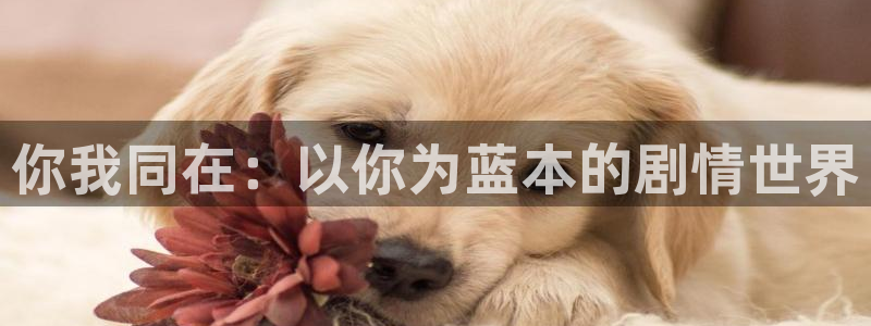 51视频在线观看网站：你我同在：以你为蓝本的剧情世界