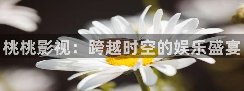 51视频国产：桃桃影视：跨越时空的娱乐盛宴