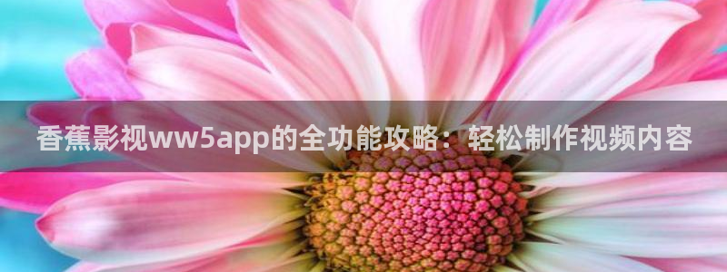 51视频网在线观看：香蕉影视ww5app的全功能攻略：轻松制作视频内容