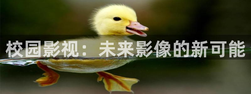 在线51视频：校园影视：未来影像的新可能