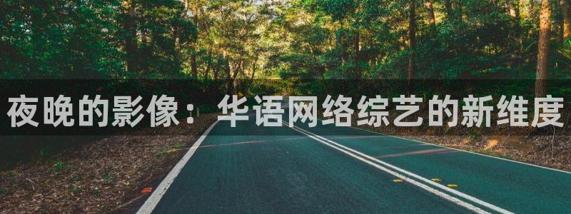 51视频观看：夜晚的影像：华语网络综艺的新维度